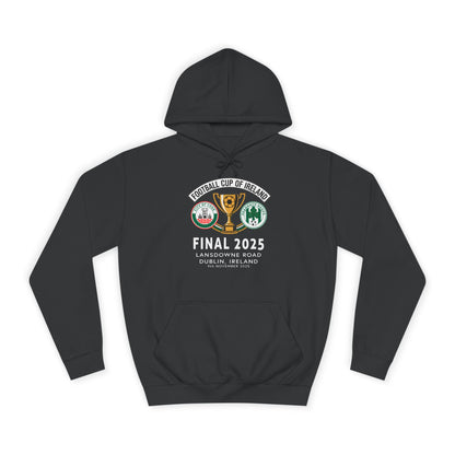 Football Cup of Ireland Final Hoodie
