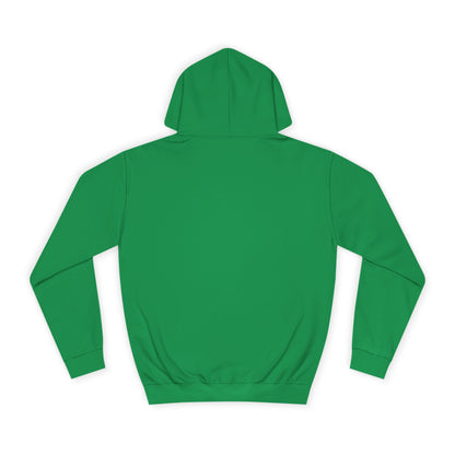 Football Cup of Ireland Final Hoodie